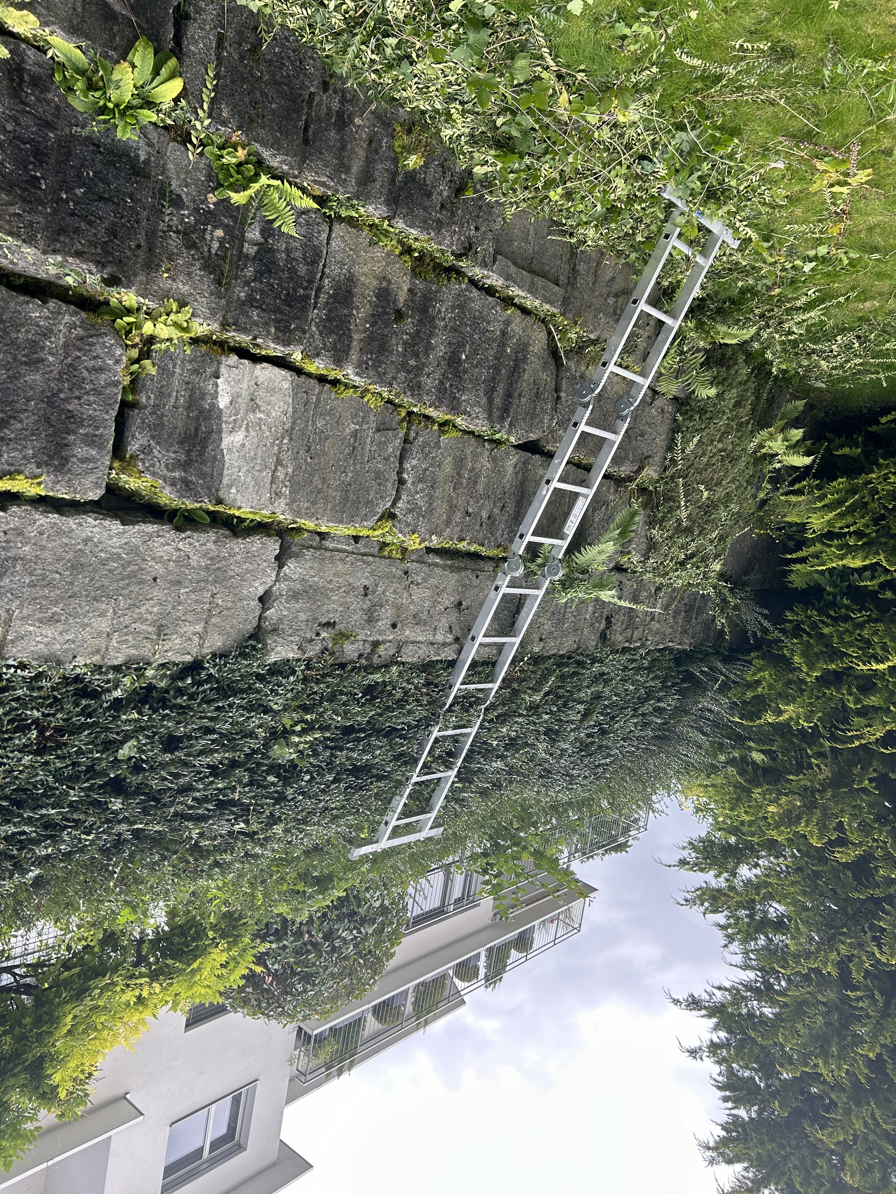 Heckenschnitt grosse Hecken Zürich – Leiter Steinmauer