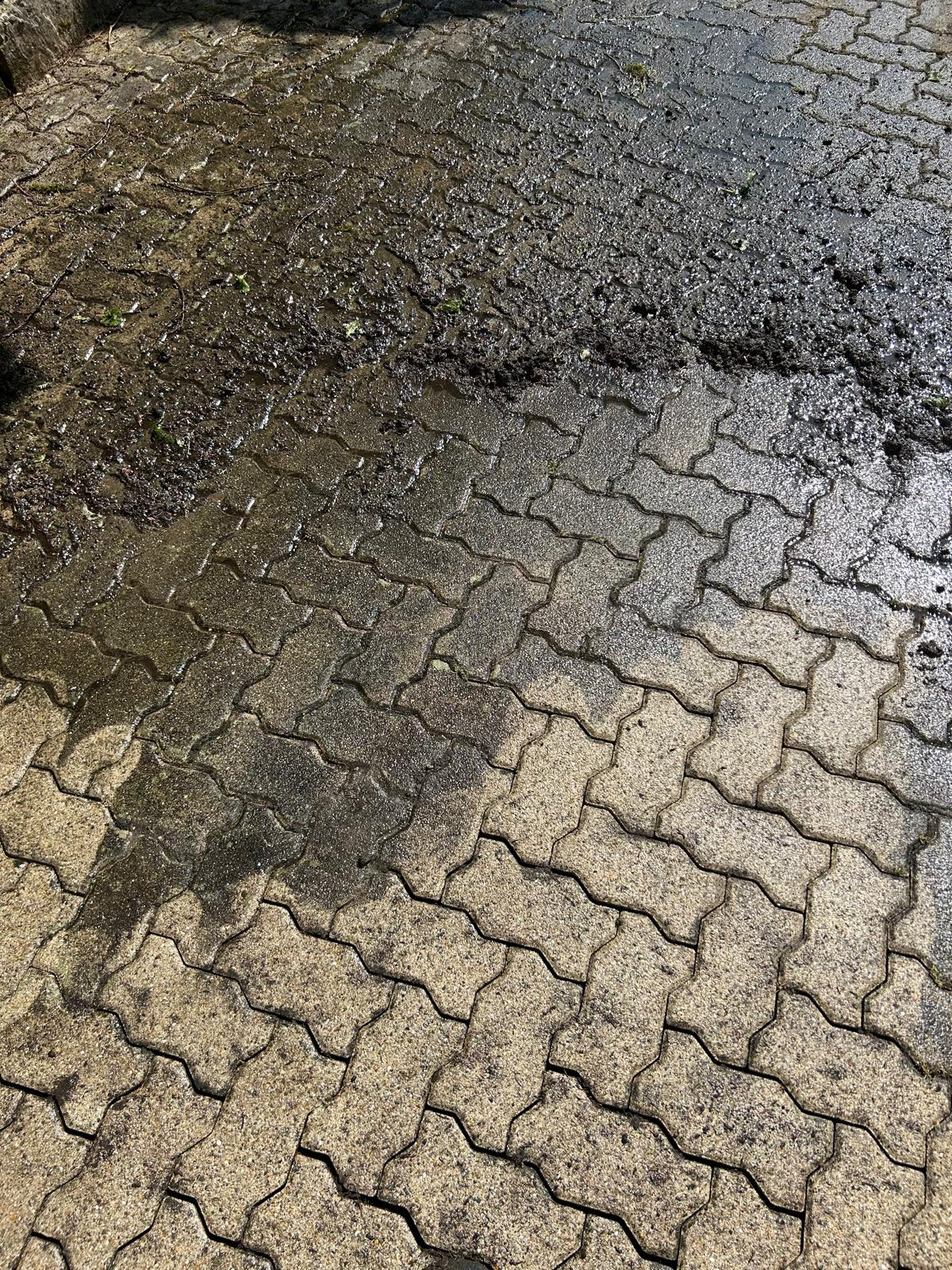 Terrassenreinigung Zürich – Botanica Greiner